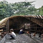 Anak-anak memberi makan kepada ayam di proyek Chicken Hero Pavilion, Jakarta. (Foto: RAD+ar)
