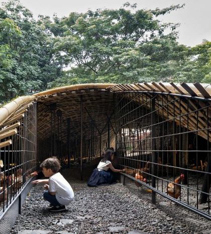 Anak-anak memberi makan kepada ayam di proyek Chicken Hero Pavilion, Jakarta. (Foto: RAD+ar)
